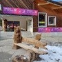 La fiaccola dei Giochi Mondiali Universitari Torino 2025 a Pragelato, Sestriere e Bardonecchia