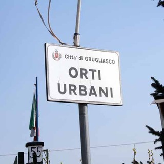 Orti urbani, nuovo bando a Grugliasco: c'è tempo fino al 21 febbraio