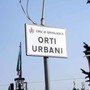 Orti urbani, nuovo bando a Grugliasco: c'è tempo fino al 21 febbraio