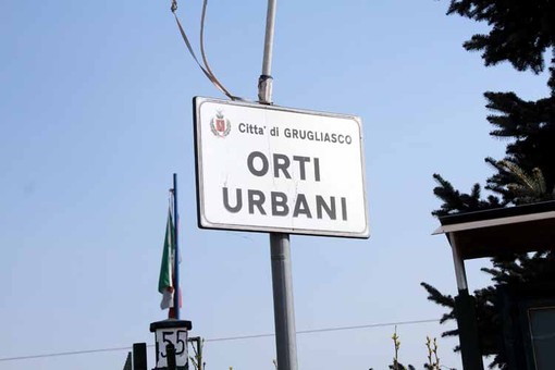 Orti urbani, nuovo bando a Grugliasco: c'è tempo fino al 21 febbraio