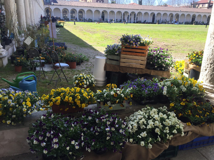 Certosa di Collegno e fiori