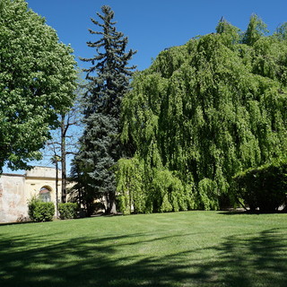 Una giornata dedicata allo spazio in Villa Lascaris a Pianezza