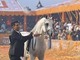 Roma, confermato il Global Champions Arabians Tour al Circo Massimo